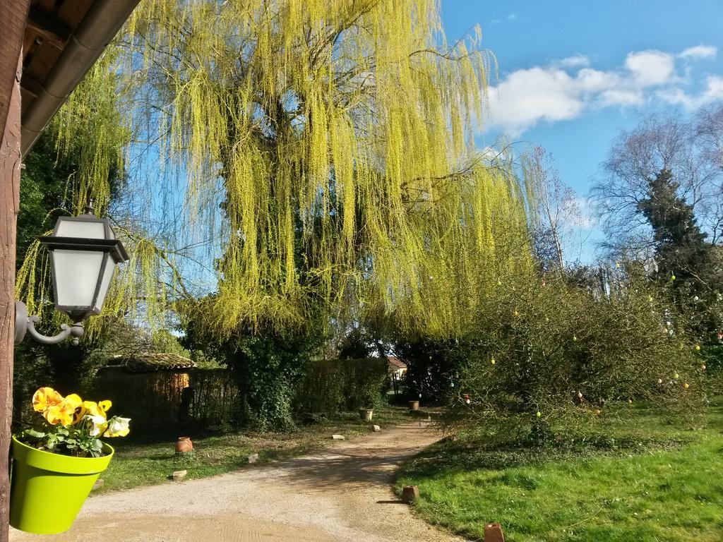 Hostellerie Sarrasine - Macon Est Replonges Exterior photo